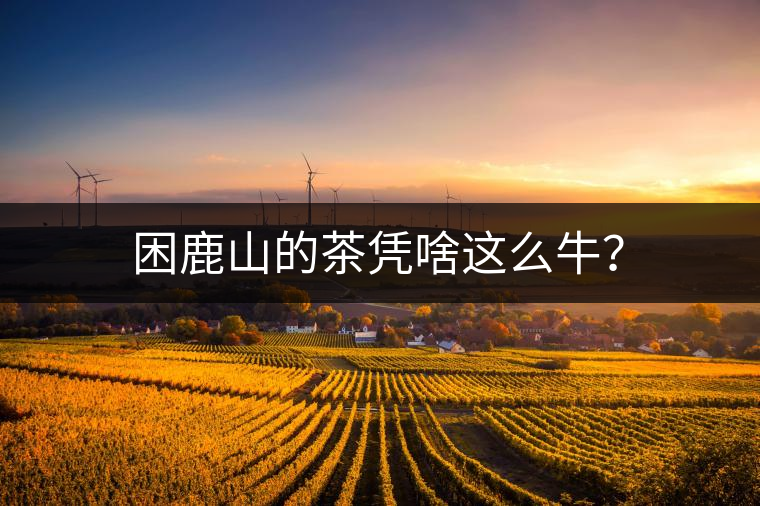 困鹿山的茶憑啥這么牛？