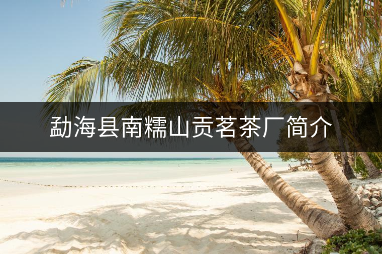 勐?？h南糯山貢茗茶廠簡介