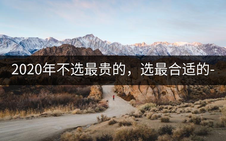 2020年不選最貴的，選最合適的-無(wú)量山古樹茶 |-易武中聘號(hào)