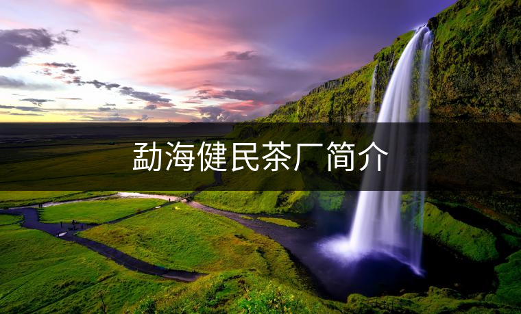 勐海健民茶廠簡介 勐海健民茶廠簡介
