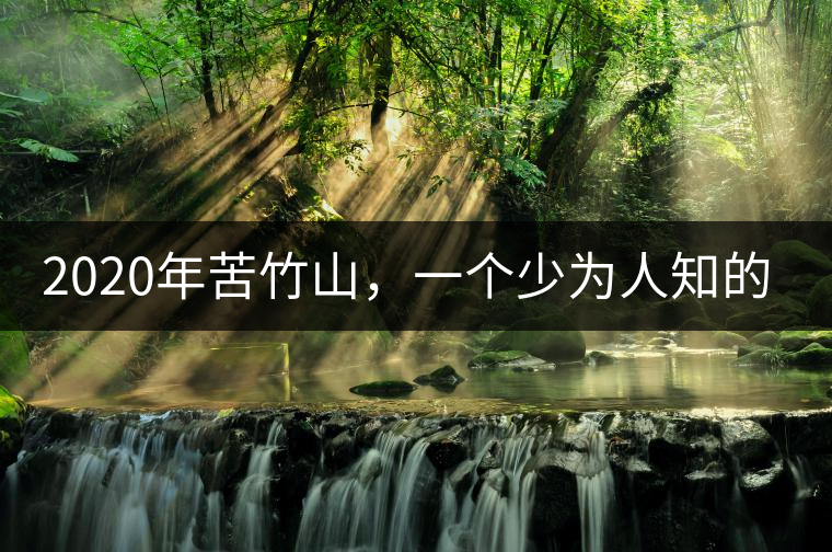 2020年苦竹山，一個少為人知的后起之秀！-易武中聘號