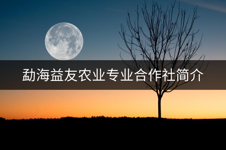 勐海益友農(nóng)業(yè)專業(yè)合作社簡介 勐海益友農(nóng)業(yè)專業(yè)合作社簡介