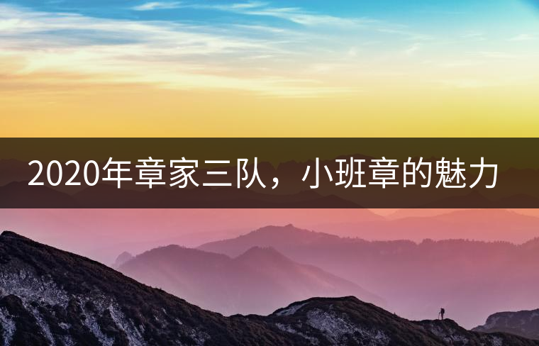 2020年章家三隊,小班章的魅力-易武中聘號 2020年章家三隊,小班章的魅力-易武中聘號