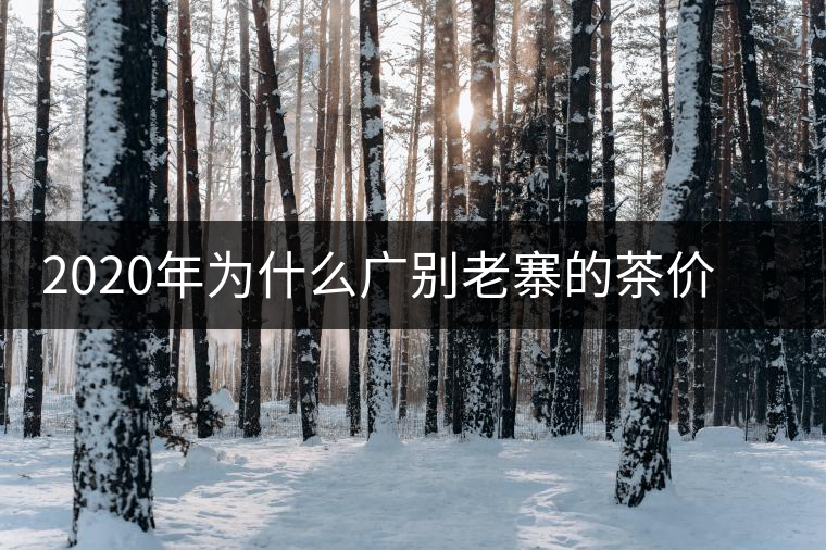 2020年為什么廣別老寨的茶價格這么貴名氣卻不是很大？-易武中聘號