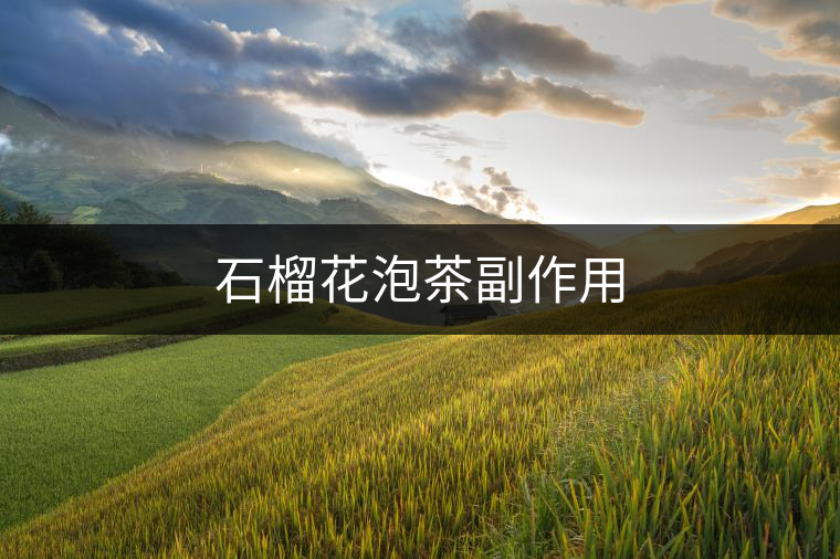 石榴花泡茶副作用 石榴花泡茶副作用