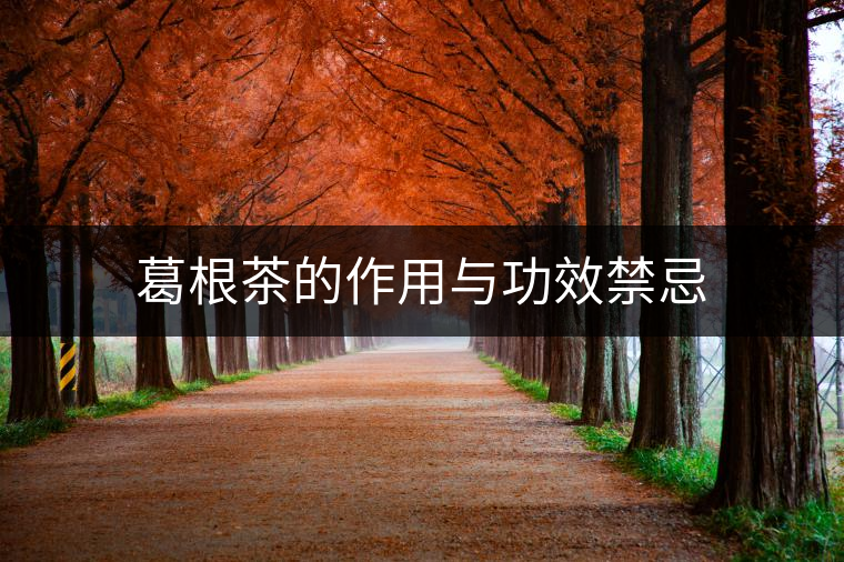 葛根茶的作用與功效禁忌 葛根茶的作用與功效禁忌