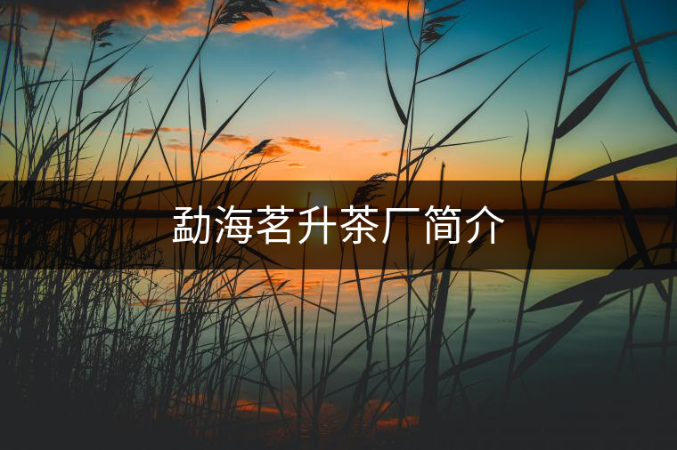 勐海茗升茶廠簡(jiǎn)介