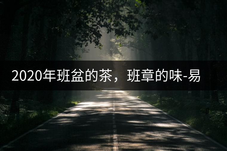 2020年班盆的茶,班章的味-易武中聘號(hào) 2020年班盆的茶,班章的味-易武中聘號(hào)