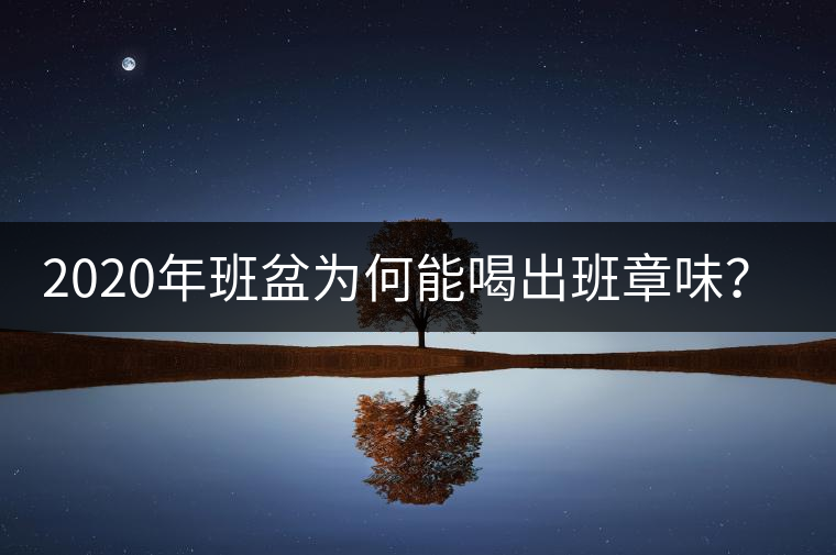 2020年班盆為何能喝出班章味?-易武中聘號(hào) 2020年班盆為何能喝出班章味?-易武中聘號(hào)