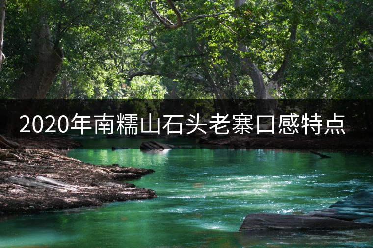 2020年南糯山石頭老寨口感特點-易武中聘號 2020年南糯山石頭老寨口感特點-易武中聘號