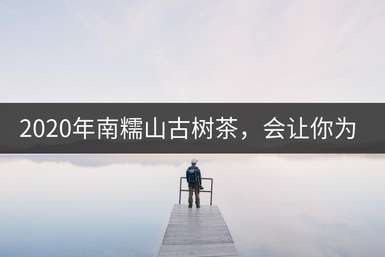 2020年南糯山古樹茶，會(huì)讓你為之著迷-易武中聘號(hào)