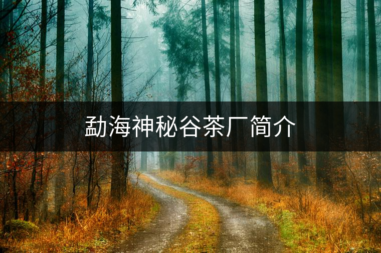 勐海神秘谷茶廠簡(jiǎn)介