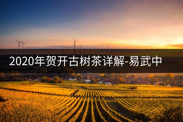 2020年賀開古樹茶詳解-易武中聘號(hào) 2020年賀開古樹茶詳解-易武中聘號(hào)