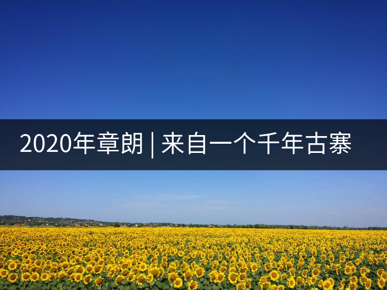 2020年章朗 | 來自一個(gè)千年古寨的古樹茶 -易武中聘號(hào)