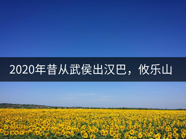 2020年昔從武侯出漢巴，攸樂山中只種茶。-易武中聘號(hào)