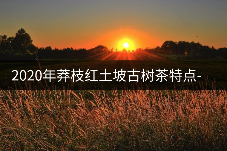 2020年莽枝紅土坡古樹(shù)茶特點(diǎn)-易武中聘號(hào) 2020年莽枝紅土坡古樹(shù)茶特點(diǎn)-易武中聘號(hào)