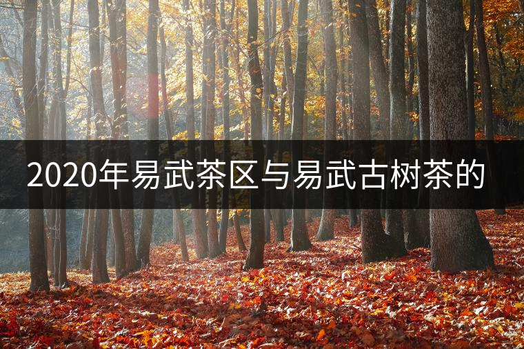 2020年易武茶區(qū)與易武古樹茶的那些事-易武中聘號 2020年易武茶區(qū)與易武古樹茶的那些事-易武中聘號