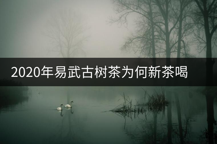 2020年易武古樹茶為何新茶喝時淡卻越放越濃？-易武中聘號