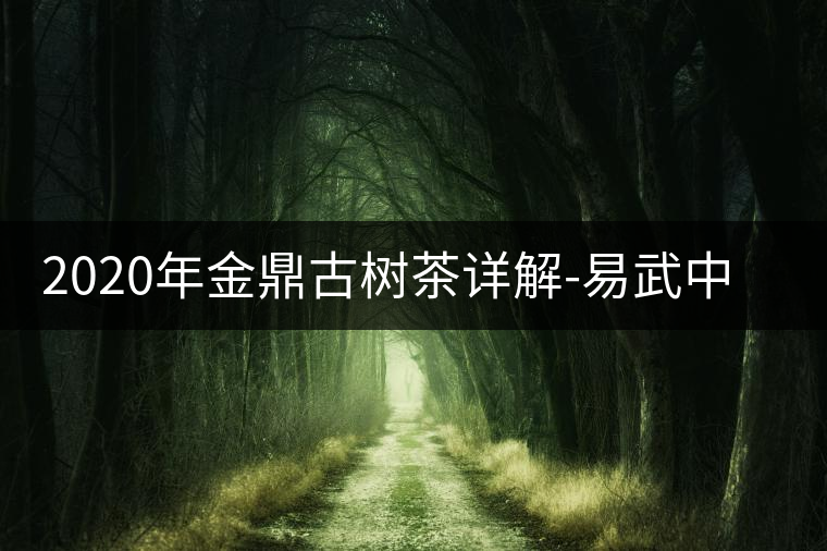 2020年金鼎古樹茶詳解-易武中聘號 2020年金鼎古樹茶詳解-易武中聘號
