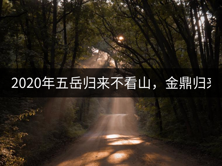 2020年五岳歸來不看山，金鼎歸來不看茶   -易武中聘號