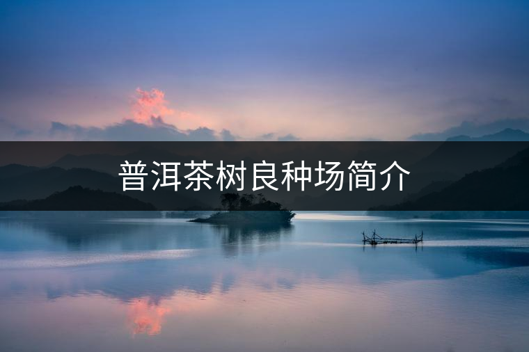 普洱茶樹良種場簡介 普洱茶樹良種場簡介