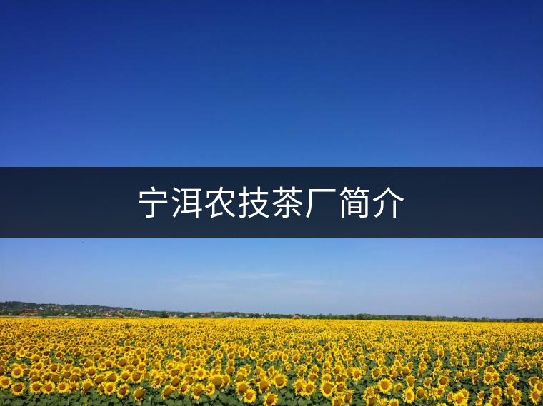 寧洱農(nóng)技茶廠(chǎng)簡(jiǎn)介 寧洱農(nóng)技茶廠(chǎng)簡(jiǎn)介