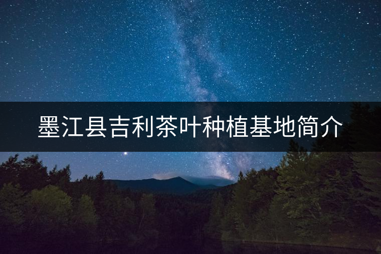 墨江縣吉利茶葉種植基地簡介 墨江縣吉利茶葉種植基地簡介