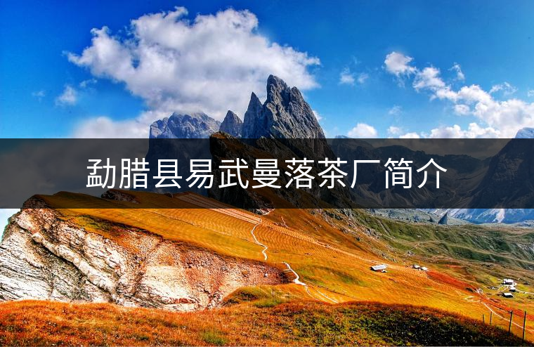 勐臘縣易武曼落茶廠簡介 勐臘縣易武曼落茶廠簡介