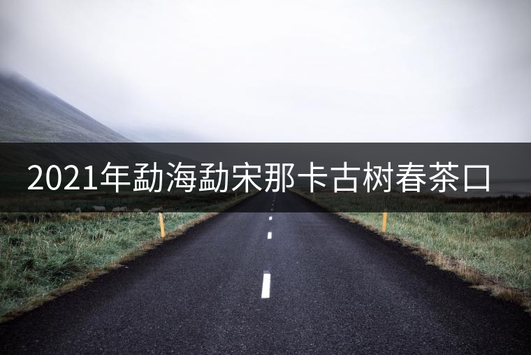 2021年勐海勐宋那卡古樹春茶口感？