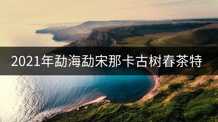 2021年勐海勐宋那卡古樹春茶特點(diǎn)？