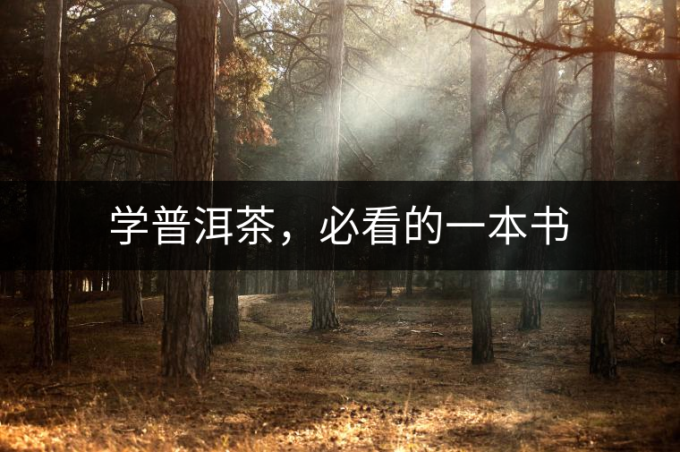 學(xué)普洱茶，必看的一本書