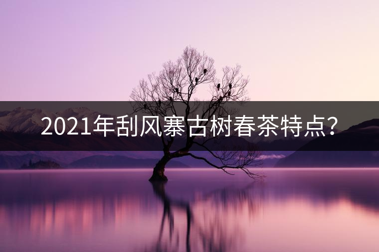 2021年刮風(fēng)寨古樹春茶特點(diǎn)？