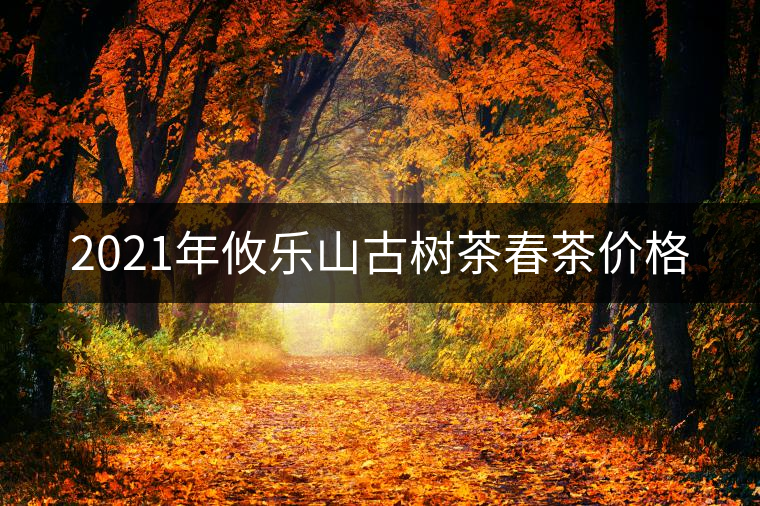 2021年攸樂(lè)山古樹(shù)茶春茶價(jià)格 2021年攸樂(lè)山古樹(shù)茶春茶價(jià)格