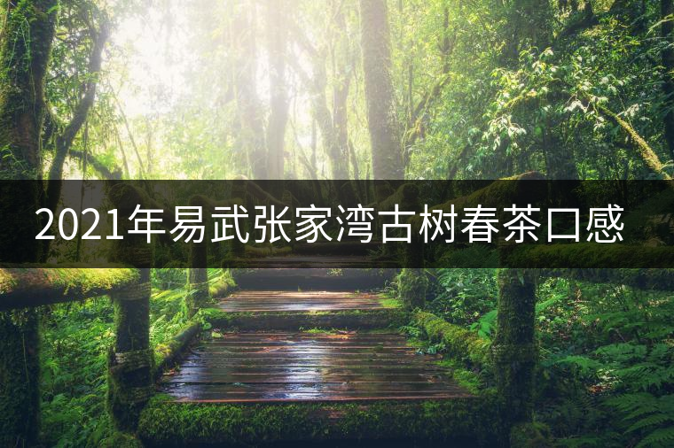 2021年易武張家灣古樹(shù)春茶口感特點(diǎn)介紹