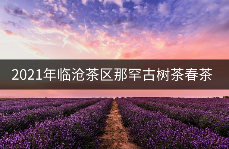 2021年臨滄茶區(qū)那罕古樹茶春茶多少錢一公斤？