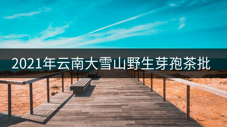 2021年云南大雪山野生芽孢茶批發(fā)