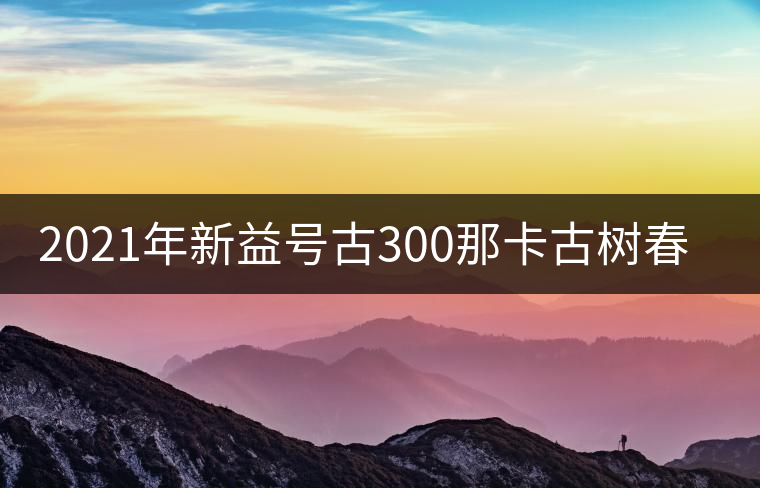 2021年新益號古300那卡古樹春茶口感怎么樣？