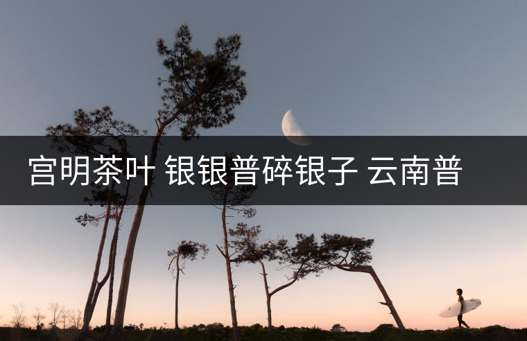 宮明茶葉 銀銀普碎銀子 云南普洱茶熟茶易武古樹糯米香老茶頭好喝嗎？