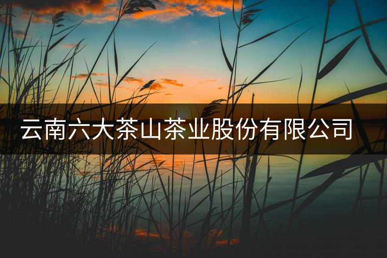 云南六大茶山茶業(yè)股份有限公司鳳慶茶廠簡介 云南六大茶山茶業(yè)股份有限公司鳳慶茶廠簡介