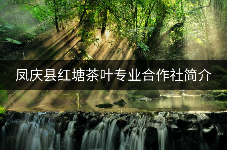 鳳慶縣紅塘茶葉專業(yè)合作社簡(jiǎn)介 鳳慶縣紅塘茶葉專業(yè)合作社簡(jiǎn)介