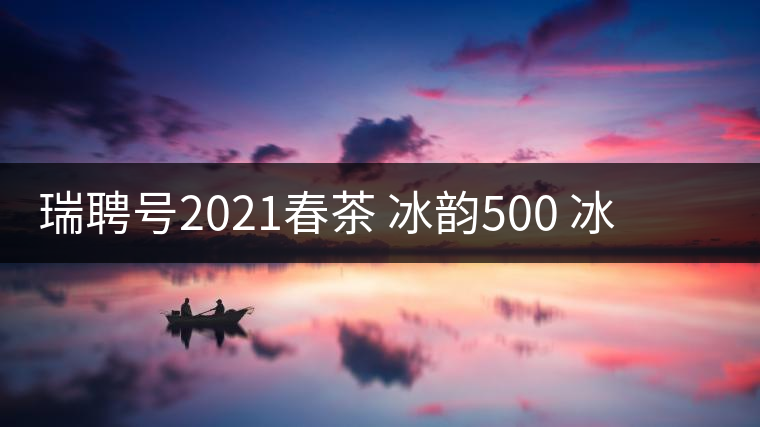 瑞聘號2021春茶 冰韻500 冰島頭春古樹茶口感好不好？
