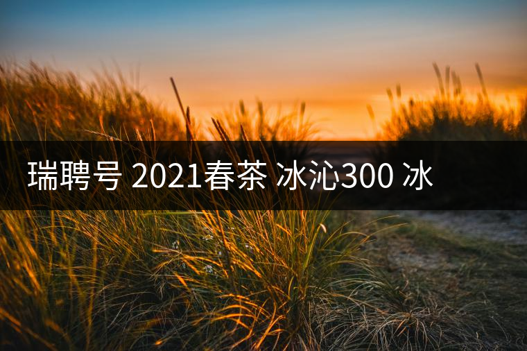 瑞聘號 2021春茶 冰沁300 冰島頭春古樹茶好喝嗎？