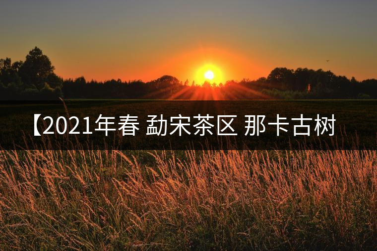 【2021年春?勐宋茶區(qū)?那卡古樹生茶】 【2021年春?勐宋茶區(qū)?那卡古樹生茶】