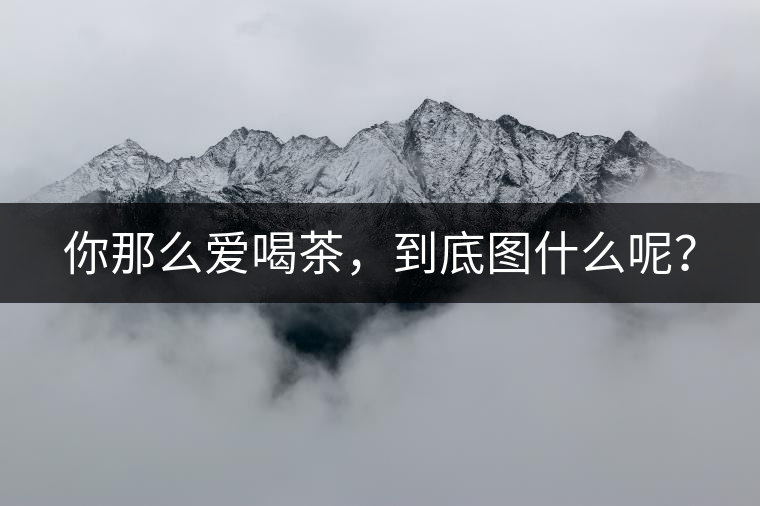 你那么愛喝茶，到底圖什么呢？