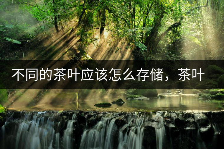 不同的茶葉應該怎么存儲，茶葉罐又該如何選擇？
