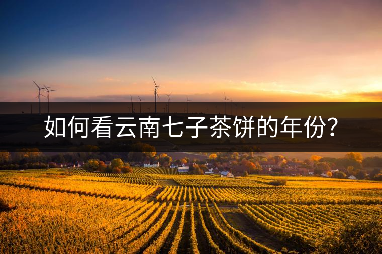 如何看云南七子茶餅的年份？