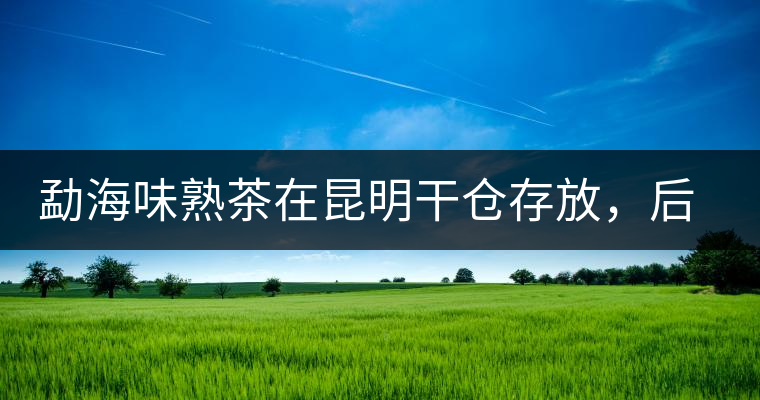勐海味熟茶在昆明干倉存放，后期轉(zhuǎn)化如何呢？