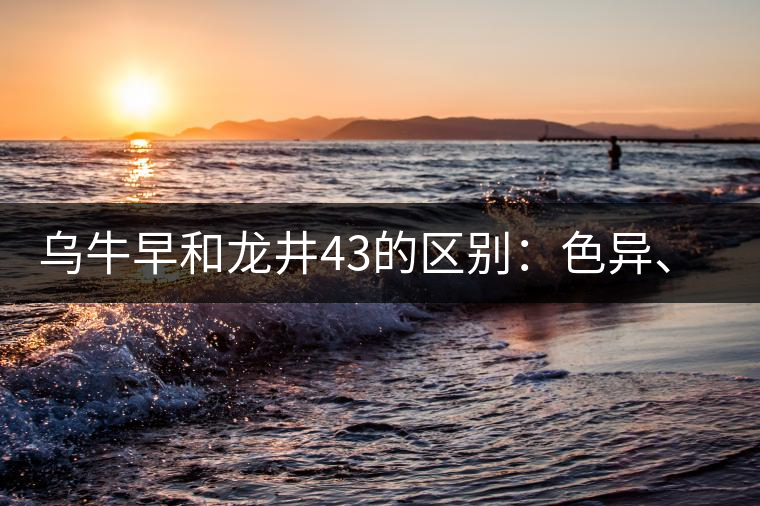 烏牛早和龍井43的區(qū)別：色異、香異、形異