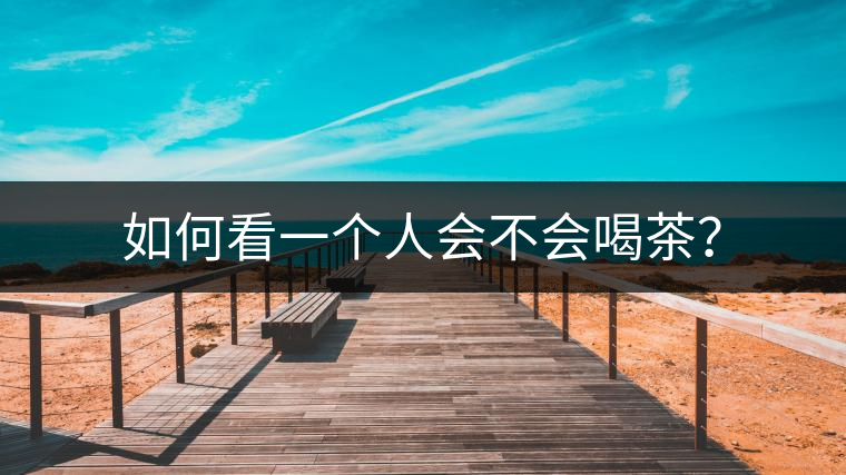 如何看一個人會不會喝茶？