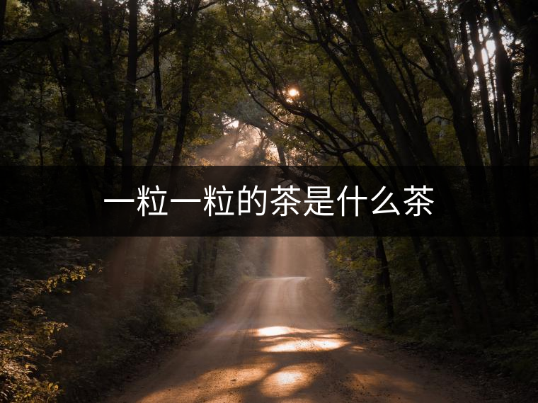 一粒一粒的茶是什么茶